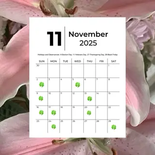 Chaton♡ KIRIKOSHIのマツエク・マツパデザイン