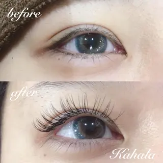 マツエク・マツパ Fujimoto 🦭⸝⋆꙳のマツエク・マツパデザイン