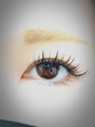 マツエク・マツパ Twiggy Lashes所属・Twiggy Lashes いずみのマツエク・マツパデザイン