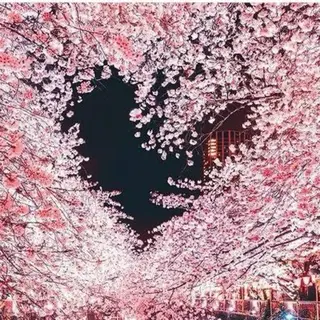 ネイル asuka 🐰のネイルデザイン