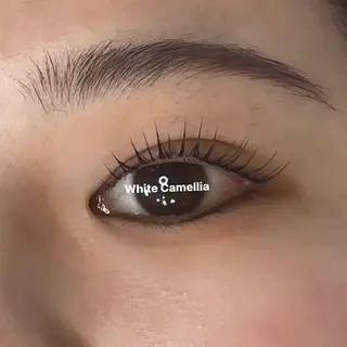 マツエク・マツパ 韓国風束感まつ毛🎀 Nanamiのマツエク・マツパデザイン