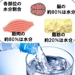 ショート カラー パーマ ヘアアレンジ メンズ キッズ ネイル マツエク・マツパ 痩身&ボディ 結果出し🌟丹野のエステ・リラクイメージ