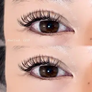 マツエク・マツパ EYELA 小築🐈‍⬛🤍のマツエク・マツパデザイン