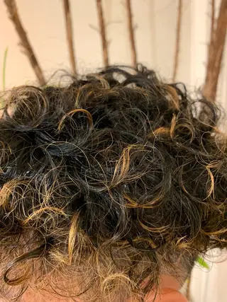 メンズ 星野 真壱のヘアスタイル