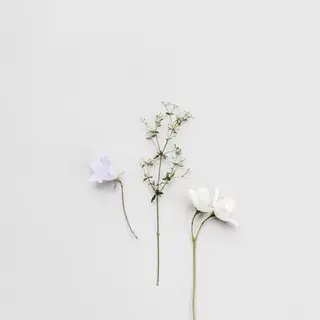 メンズ マツエク・マツパ アイブロウ Lash&brow PORTE269布施店所属・brace 竹田愛海のエステ・リラクイメージ