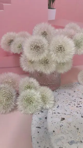 mano nella mano所属・mano nella manoのネイルデザイン