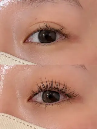 マツエク・マツパ MIREI 【Lino天神店】のマツエク・マツパデザイン