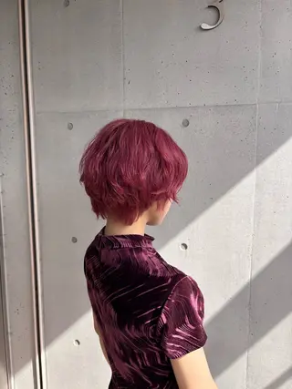 ショート カラー サラツヤハイトーン 👾はちすのヘアスタイル