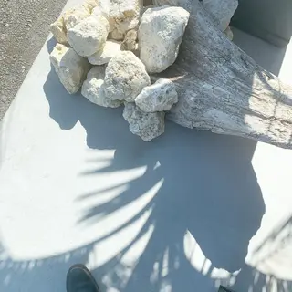 ショート カラー 吉原 由菜のヘアスタイル