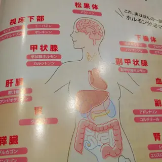 山本 ひろ美のその他イメージ