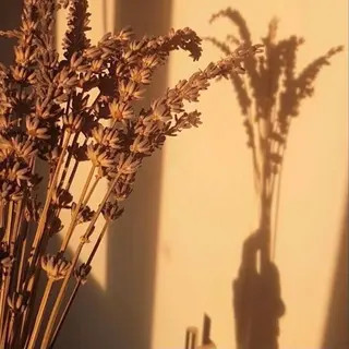 マツエク・マツパ miien(SALONVILLAGE内)所属・MOE /渋谷・明治神宮前のマツエク・マツパデザイン