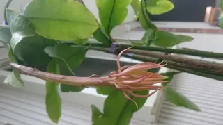 メナード水戸見川店　MENARD所属・黒坂 リカのその他イメージ