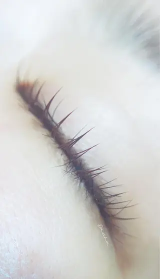 マツエク・マツパ Dacha まつ毛屋さんのマツエク・マツパデザイン