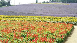 g*rossa高橋 くみこのエステ・リラクイメージ