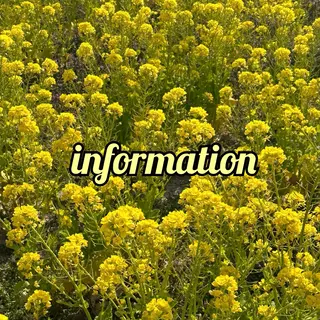 ネイル Ray nail natsu🎀のネイルデザイン