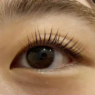 マツエク・マツパ Celeste Venus所属・🧸Celeste Venusのマツエク・マツパデザイン