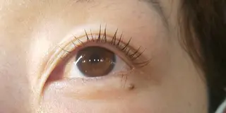マツエク・マツパ Ｖerba松戸店所属・verba バーバの眉毛・アイブロウイメージ