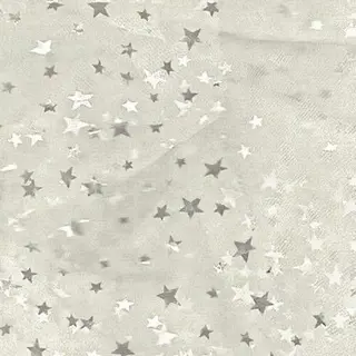 ネイル CAFUNÉ tokyo所属・☾ ໋CAFUNE yuki︎︎𓂃⟡のネイルデザイン