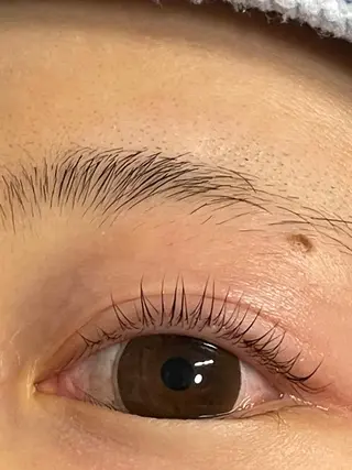 マツエク・マツパ NailandEye Lucaの眉毛・アイブロウイメージ