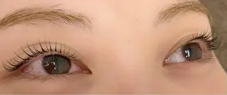 マツエク・マツパ L'unique YURIのマツエク・マツパデザイン