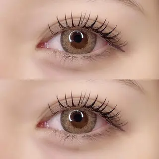 マツエク・マツパ Ai Quick 北千住🌿saitoの眉毛・アイブロウイメージ