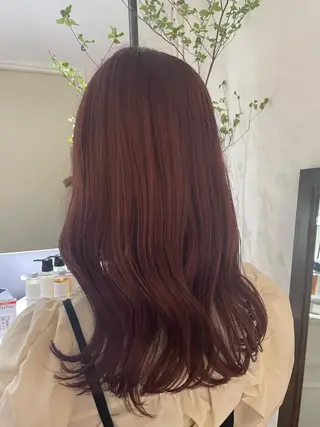 セミロング カラー ボブ美容師 /馬場 翼のヘアスタイル