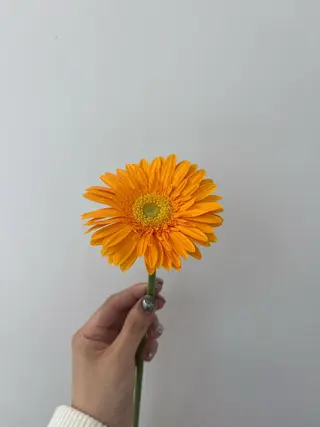 カラー 暖色カラー／ ヘアセット🌛櫻井舞のヘアスタイル