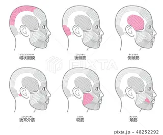 川井田 志津子のエステ・リラクイメージ