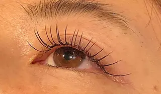 マツエク・マツパ 🌼Alba🌼 犬馬塲のマツエク・マツパデザイン