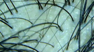 セントラル鍼灸院 Re:laxyのエステ・リラクイメージ