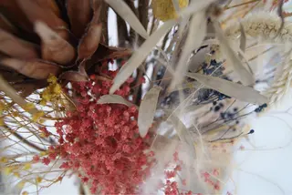 マツエク・マツパ アイブロウ SALON VILLAGE Yokohama所属・横浜アイリスト 藍田のマツエク・マツパデザイン