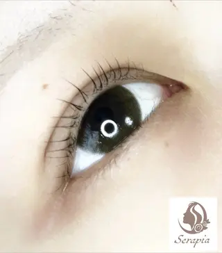 マツエク・マツパ Serapia 【セラピア】のマツエク・マツパデザイン