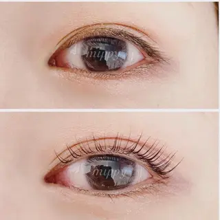 マツエク・マツパ ｍｉｐｐｙ 🪽のマツエク・マツパデザイン