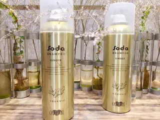 田中 実咲のヘアスタイル