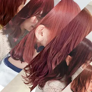 カラー ハイトーン/ウルフ /小澤凌祐🦕のヘアスタイル