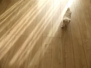 肩こり首こり専門🪽 呼吸が深くなるサロンのエステ・リラクイメージ