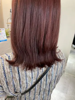 セミロング カラー 西 めぐみのヘアスタイル