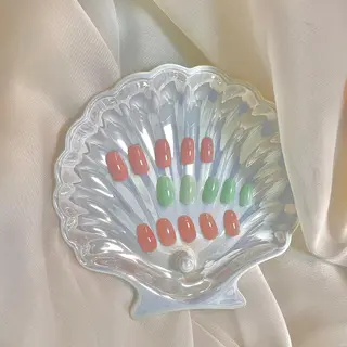 カラー ネイル 𓂃🦢Aurora Swan🌙𓂃のネイルデザイン