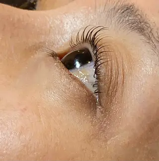 マツエク・マツパ Daisy lash 京橋店堀井のマツエク・マツパデザイン