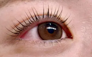 マツエク・マツパ BRISE erikaの眉毛・アイブロウイメージ