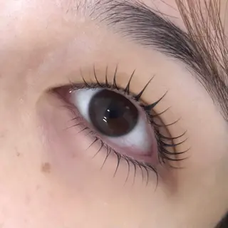 マツエク・マツパ GO TODAY SHAiRE SALON 　Vellmie吉祥寺店所属・eyelist🫧 倉本のマツエク・マツパデザイン