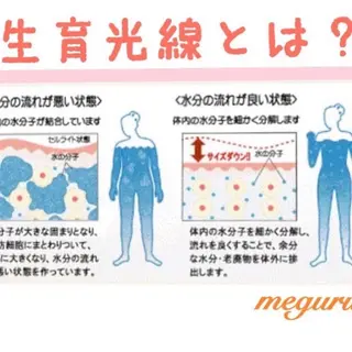 ショート カラー パーマ ヘアアレンジ メンズ キッズ ネイル マツエク・マツパ アイブロウ ‍痩身＆ボディ 結果出し🌟丹野のエステ・リラクイメージ