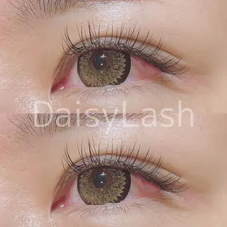 マツエク・マツパ DaisyLash 京橋店のマツエク・マツパデザイン