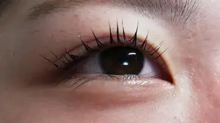 マツエク・マツパ angelux 所属・完全個室サロン🌹 angelux🌹のマツエク・マツパデザイン