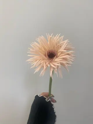 🌻花屋併設🌻濱 幸帆のヘアスタイル