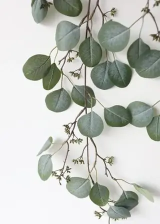 マツエク・マツパ 浦和駅近完全個室 Michikoのマツエク・マツパデザイン