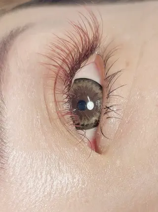 マツエク・マツパ tipsy+ kanon 🥟🎀のマツエク・マツパデザイン