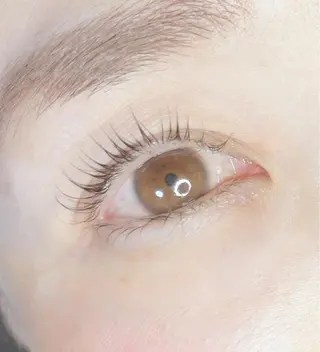 マツエク・マツパ 《eyelash ｉｉｔｅ》森のマツエク・マツパデザイン