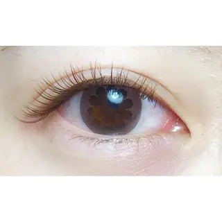 マツエク・マツパ merry eyelashのマツエク・マツパデザイン