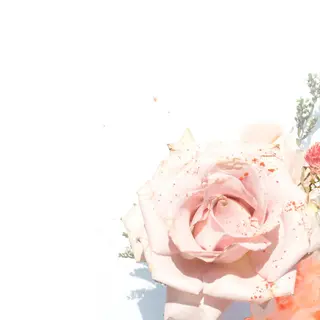 TIÁM eyelashのマツエク・マツパデザイン